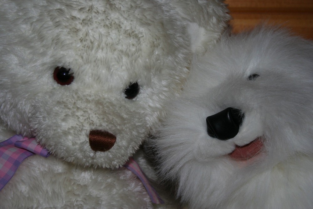 Patti's stuffed animals