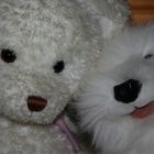 Patti's stuffed animals