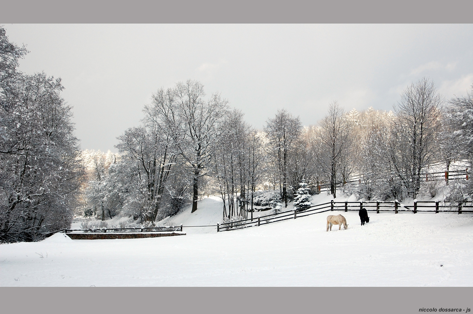 ... paturage en hivers (proJutta) ...