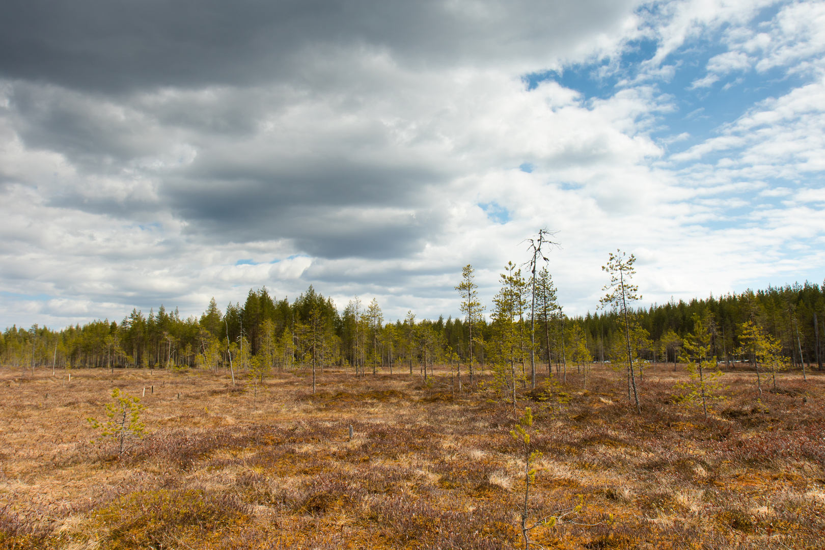 Patvinsuo_Nationalpark