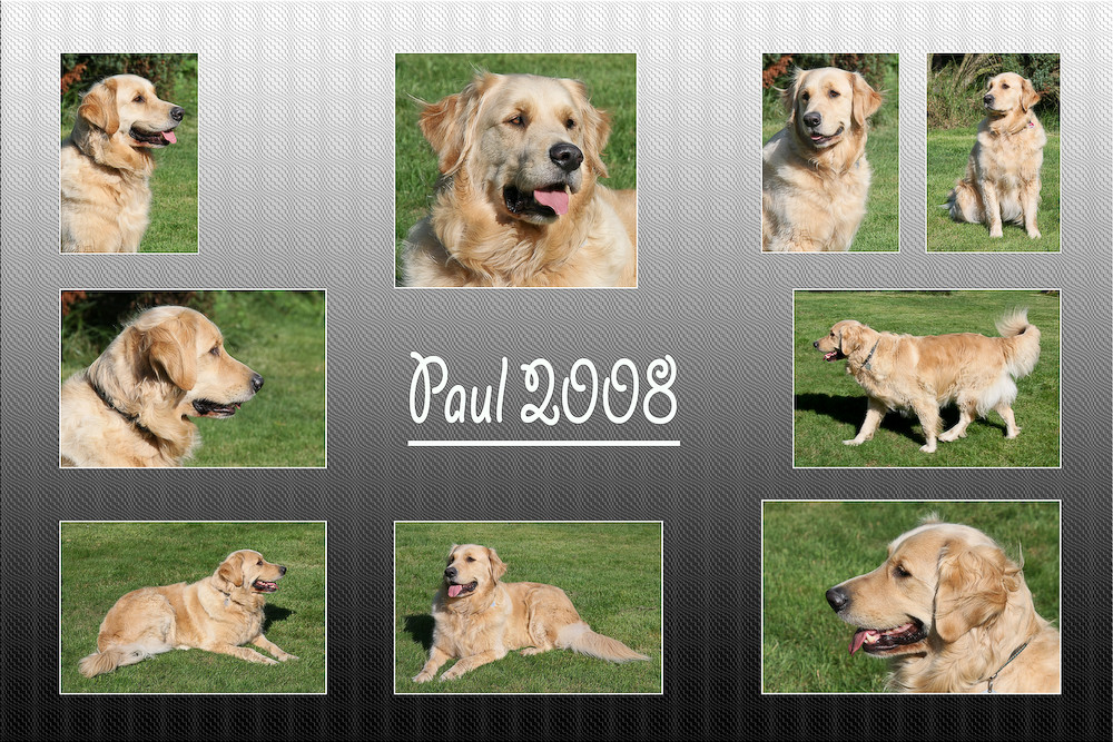 PAUL 3