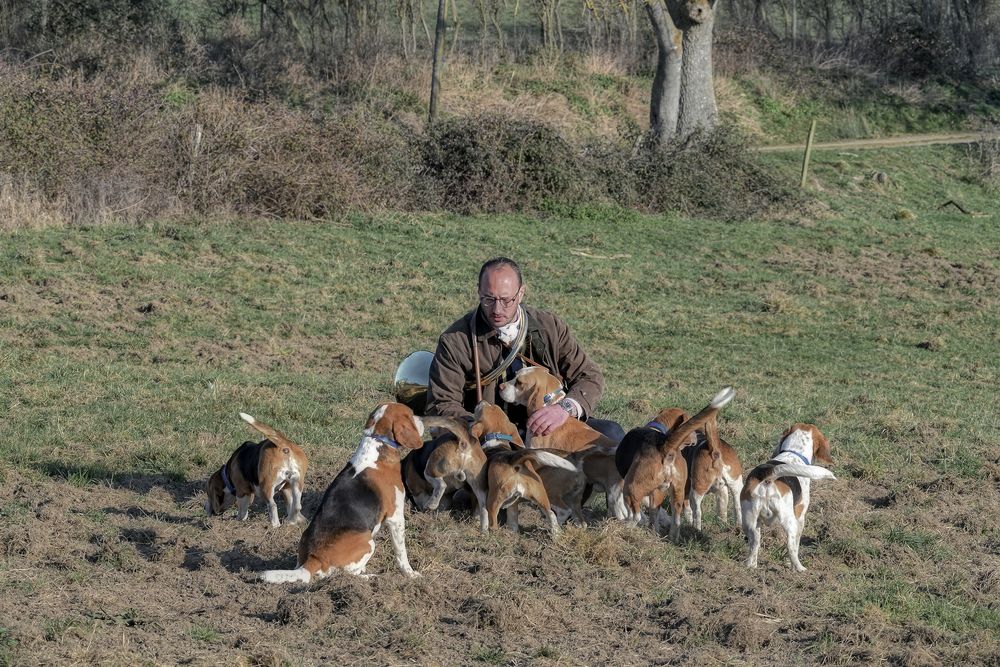 Paul et ses Beagles