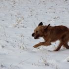 Paul liebt Schnee die 3.