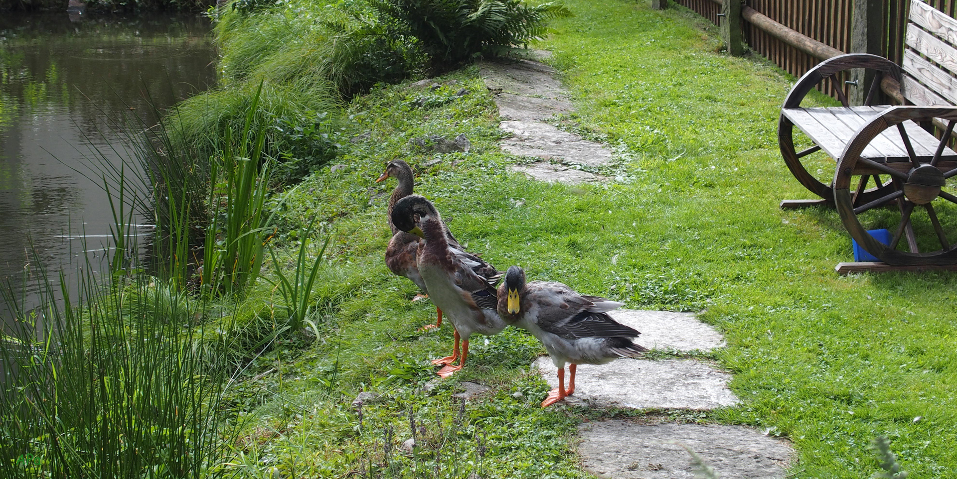 Paul, Paula und Pippa