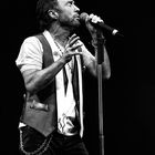 Paul Rodgers / Free / Bad Company