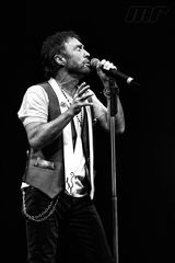 Paul Rodgers / Free / Bad Company