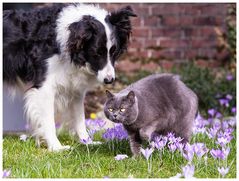 Paul und Emmi