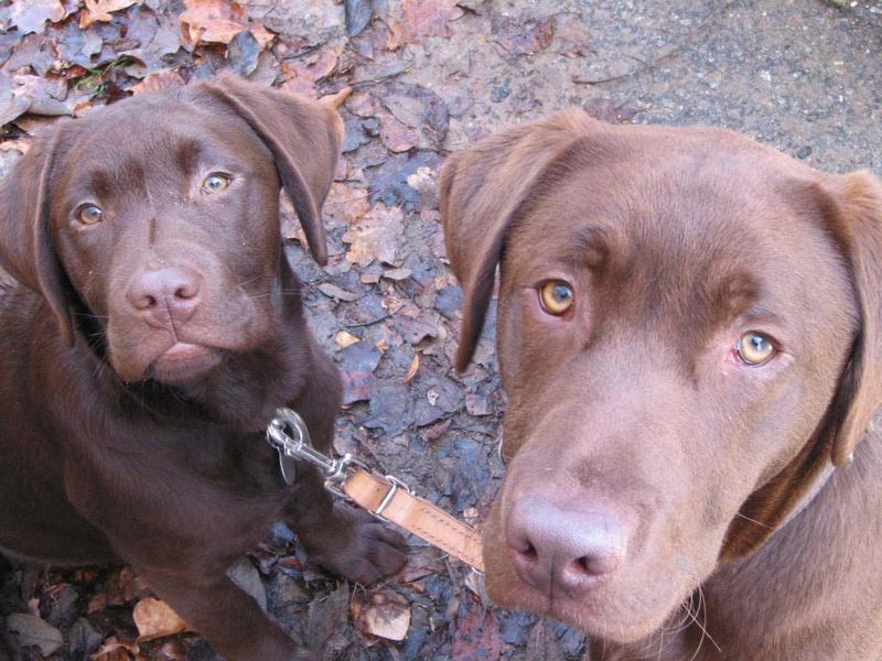 Paul und Theo in jungen Jahren