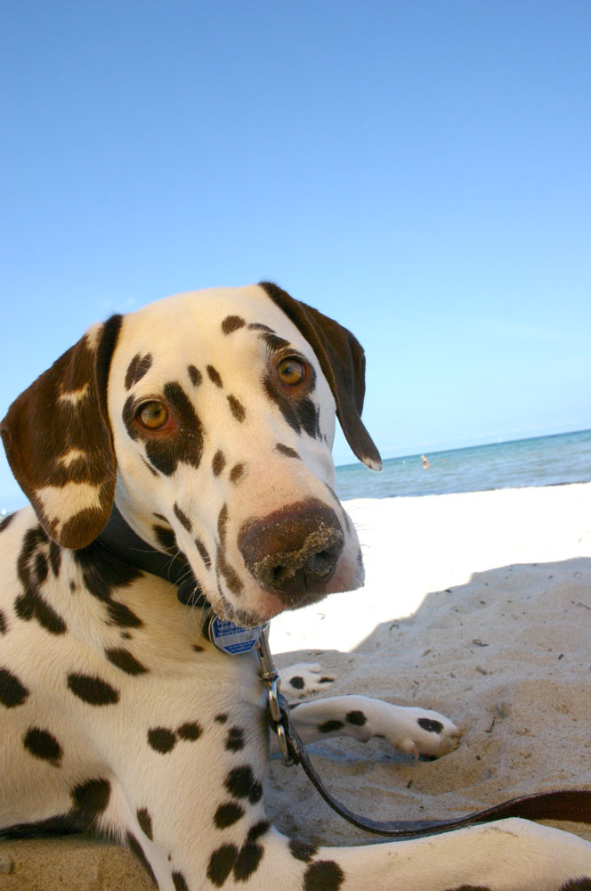 Paula am Strand