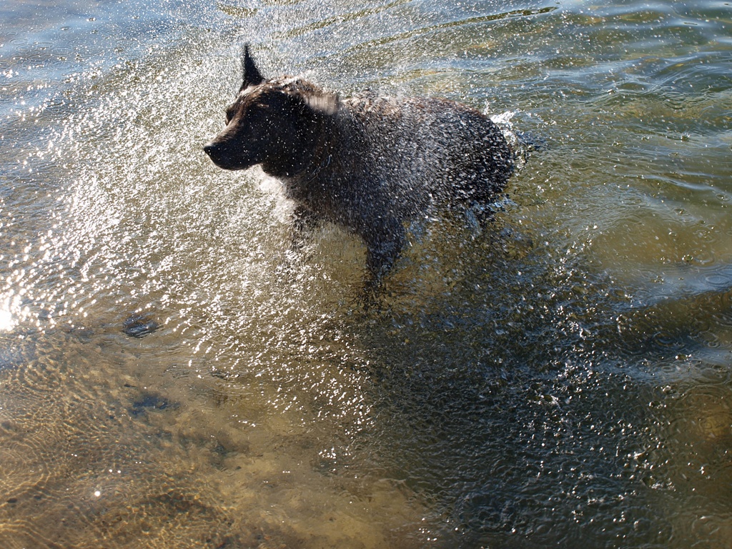 Paula beim baden