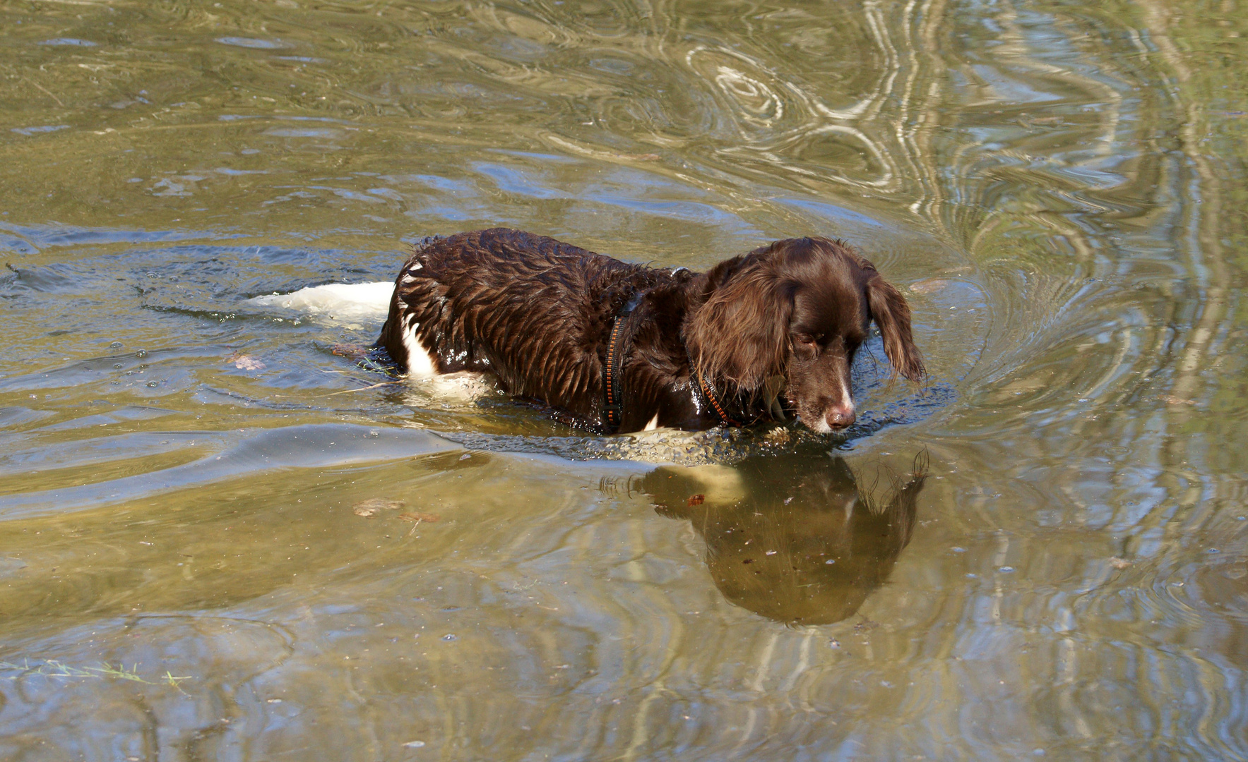 Paula beim Fische gucken.