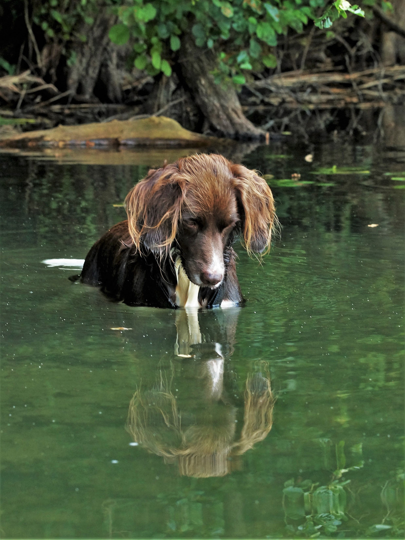 Paula bein Fische gucken...