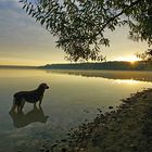 Paula beobachtet den Sonnenaufgang...