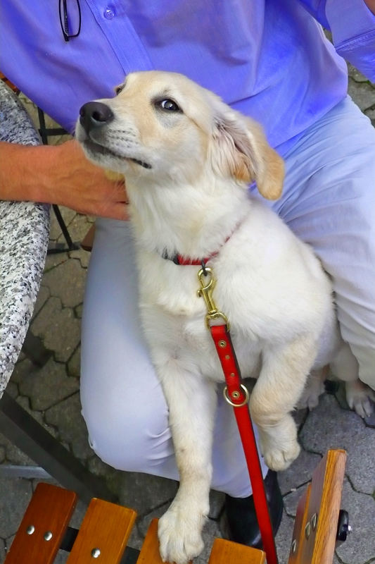 Paula bestellt im Biergarten