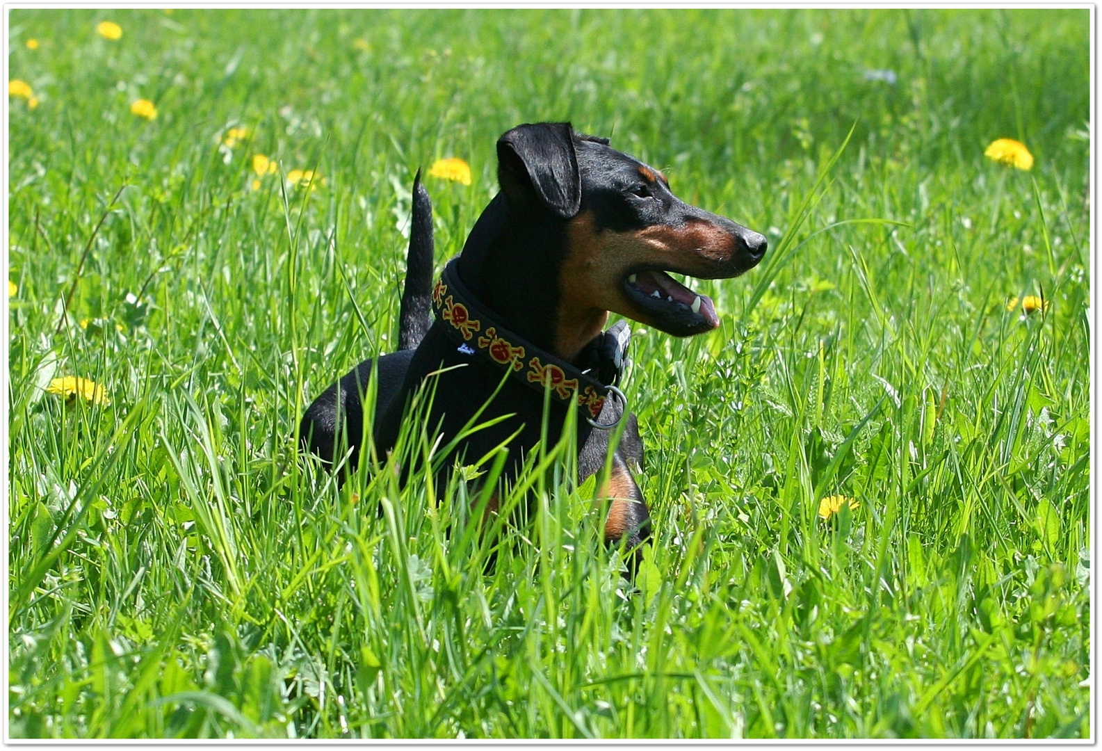 Paula genießt den Frühling