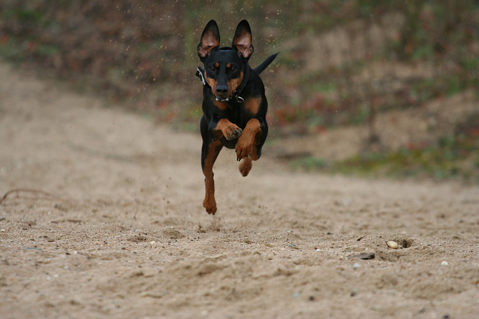 Paula im November 2010 am Epplesee