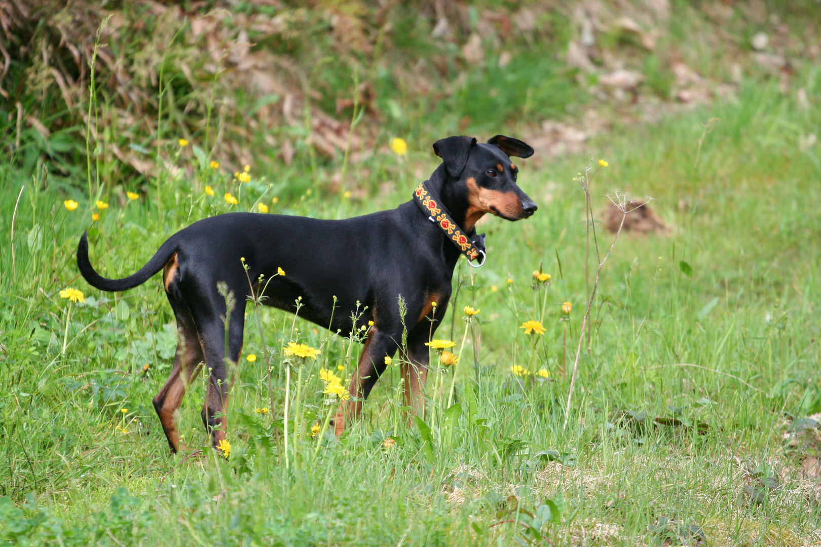 Paula im Urlaub