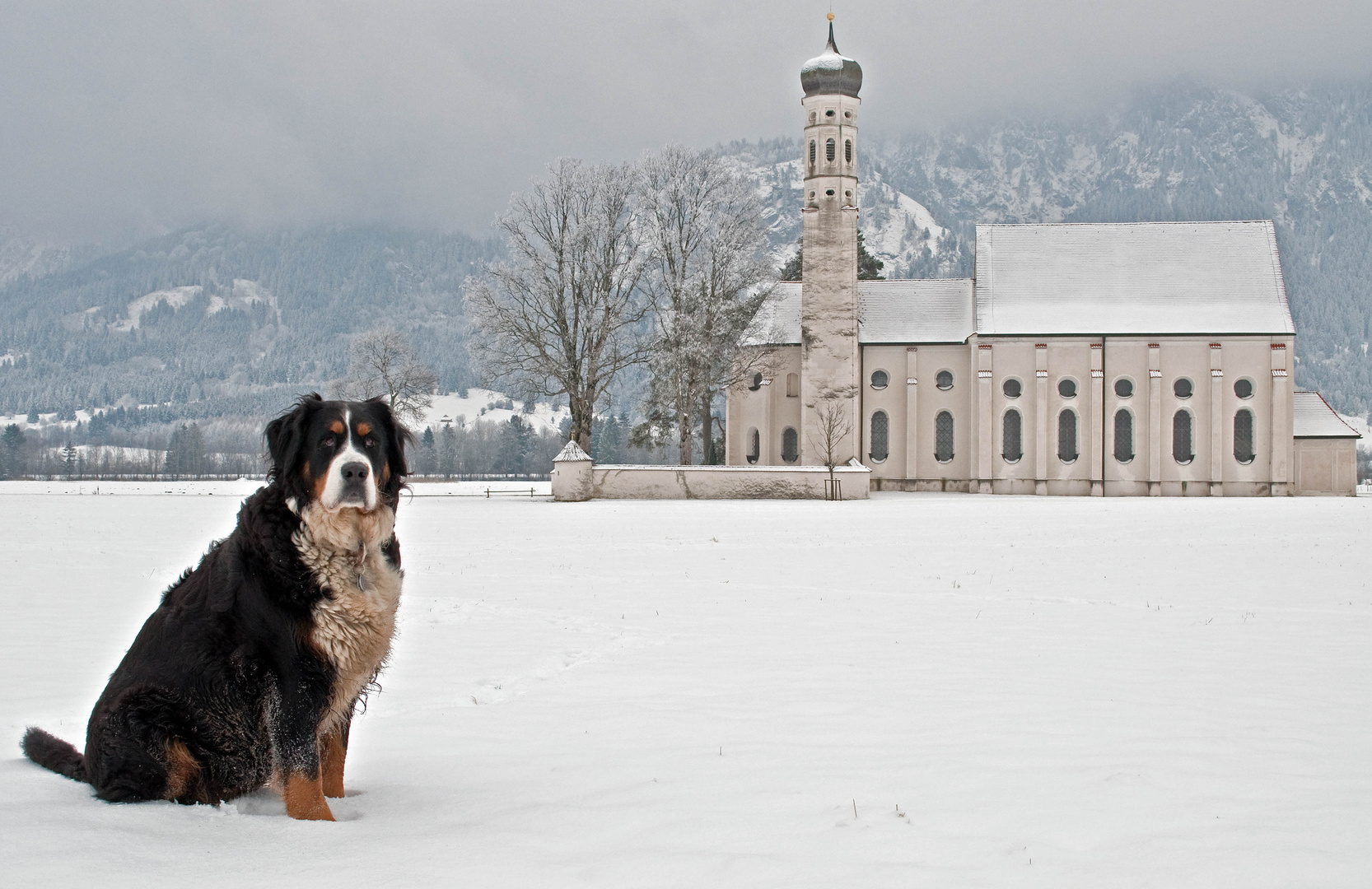 Paula in Füssen