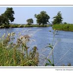 Paula´s Lieblingslandschaft