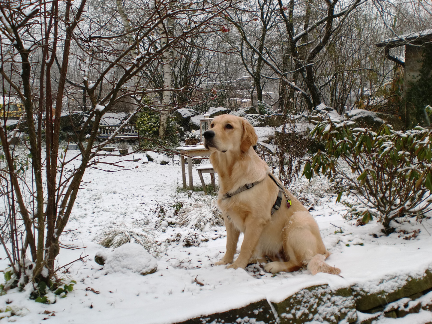 Paulas Staunen über ihren ersten Schnee.