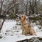 Paulas Staunen über ihren ersten Schnee.