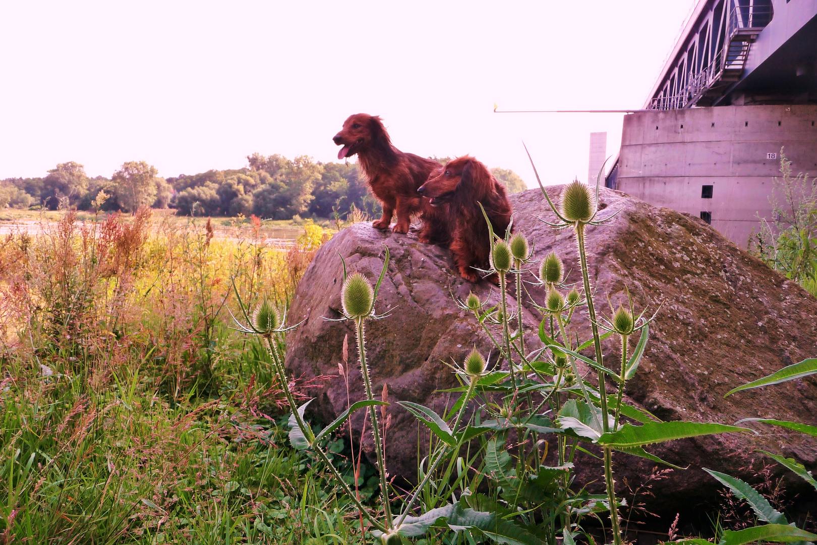 Paulchen und Chary