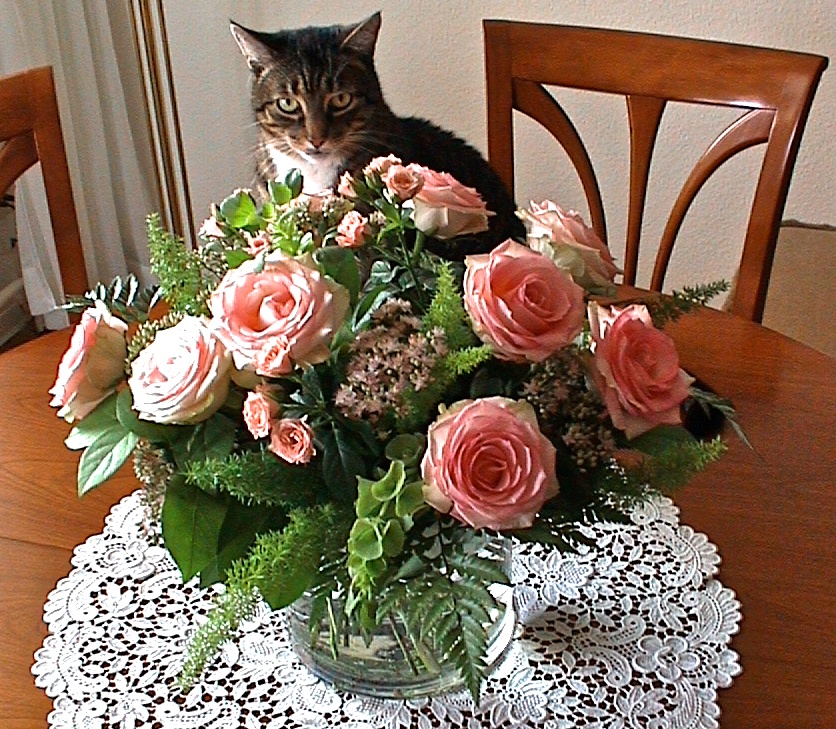 Paule mit Blumenstrauß zum 27. Hochzeitstag