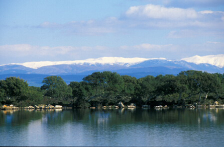 Pauli Bordoli - Giara di Gesturi - Sardegna