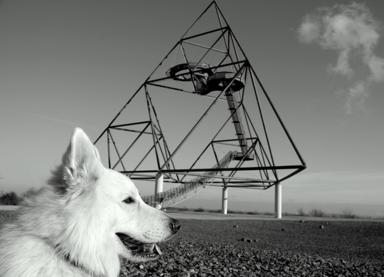 Pauli vor dem Tetraeder