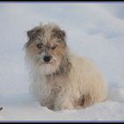 Pauline liebt den Schnee