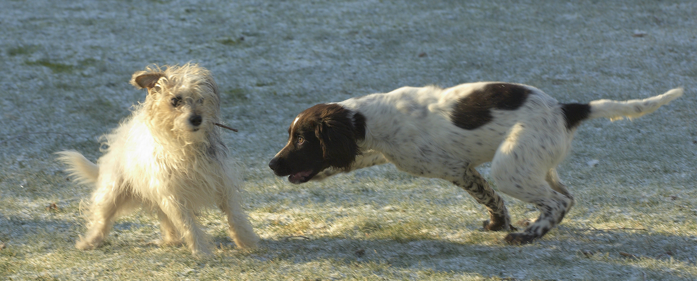 Pauline und Fine