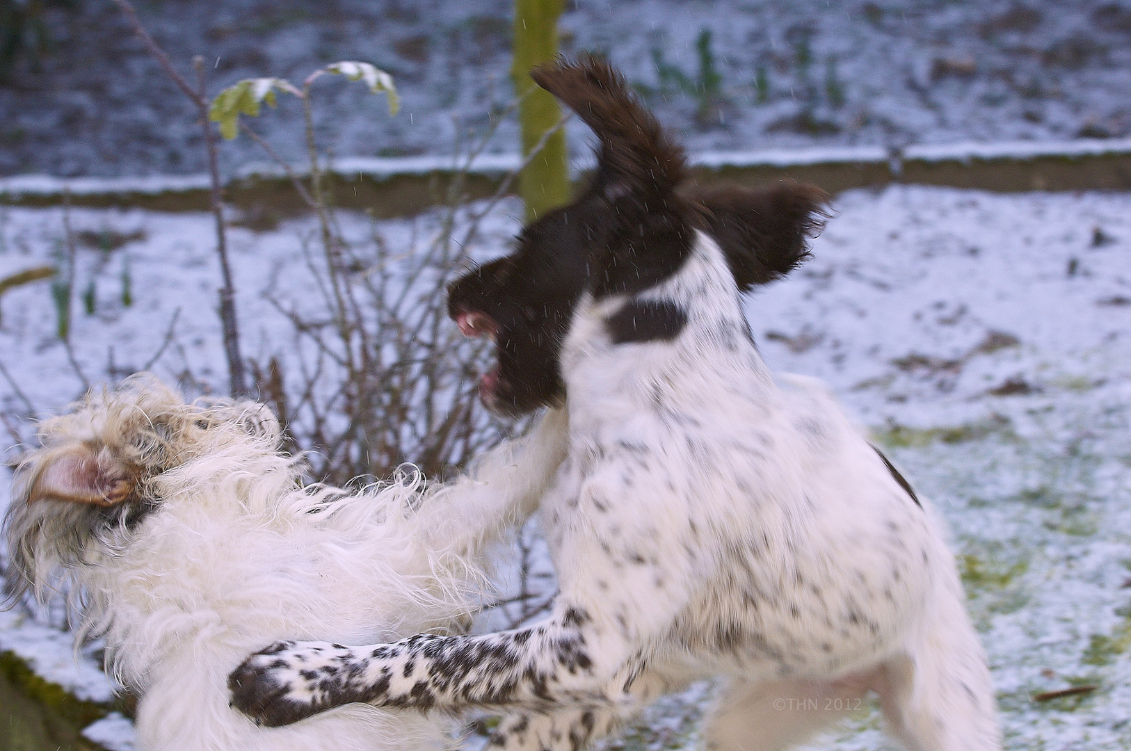 Pauline und Fine spielen die 2.