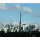 Paulista Skyline