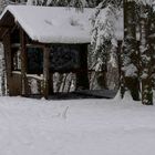 Paulshütte im Winterkleid bei Quierschied