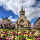 Pauluskirche Im Frühling