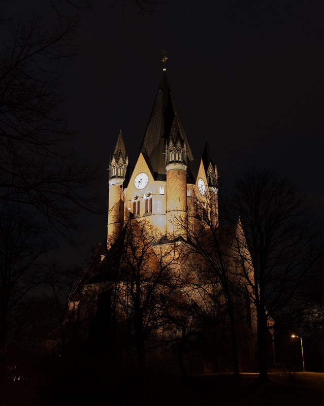 Pauluskirche zu Halle #1