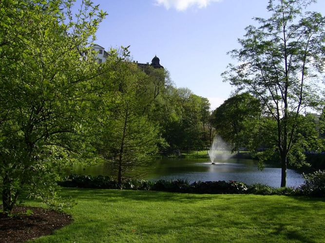 Pauritzer Teich Altenburg Foto & Bild landschaft, garten