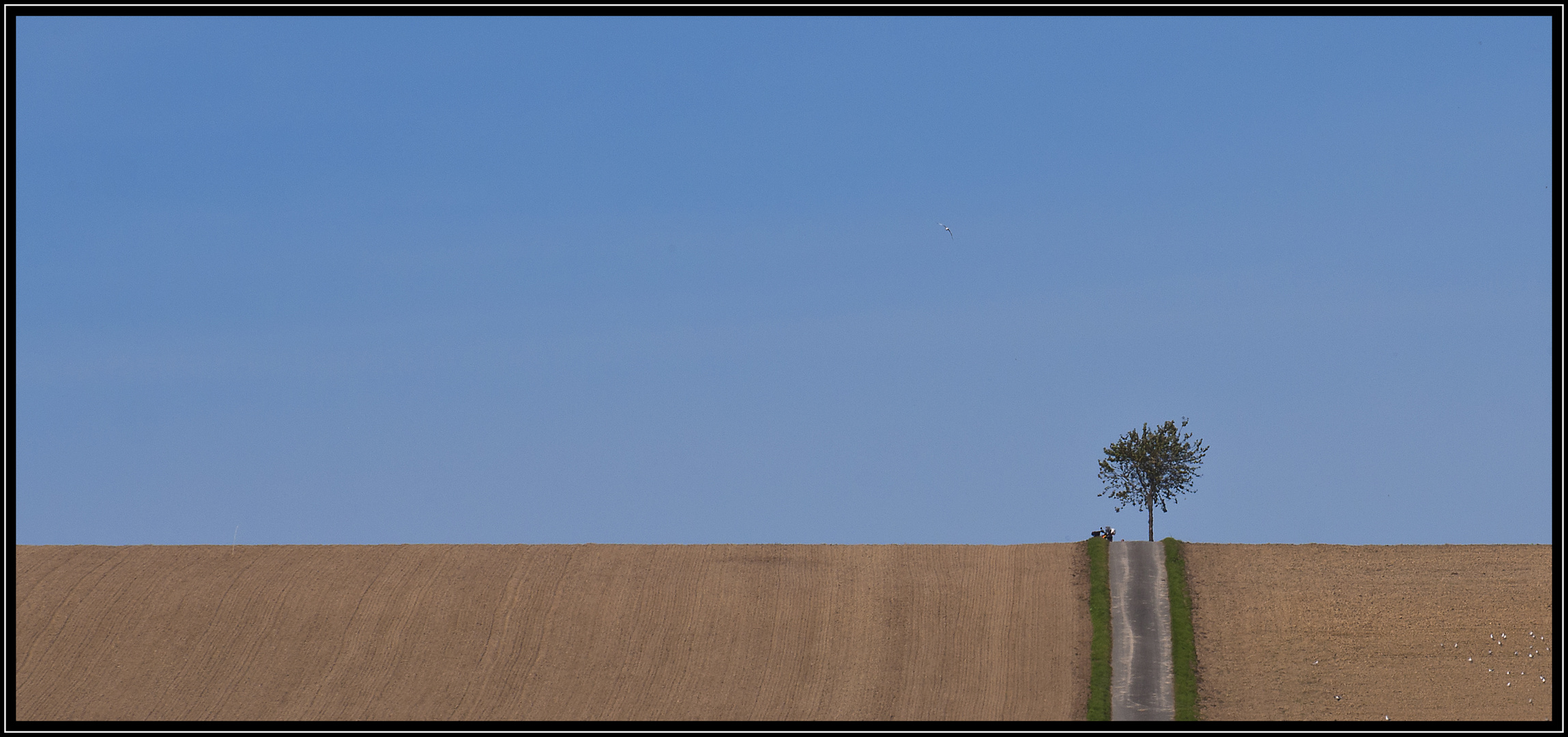 Pause am Baum