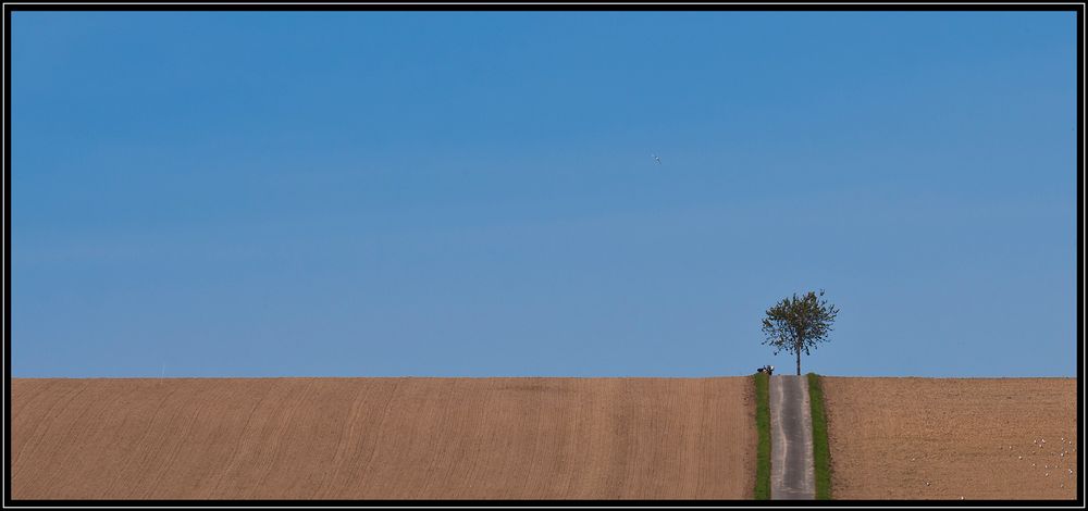 Pause am Baum