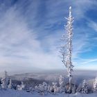 Pause am Großen Inselsberg