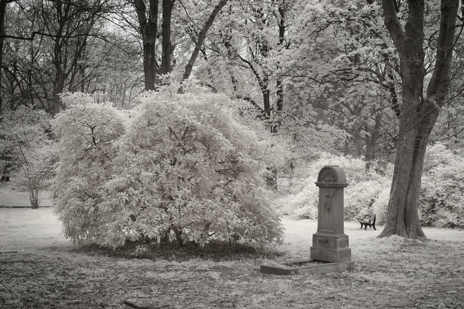 Pause am Ostfriedhof