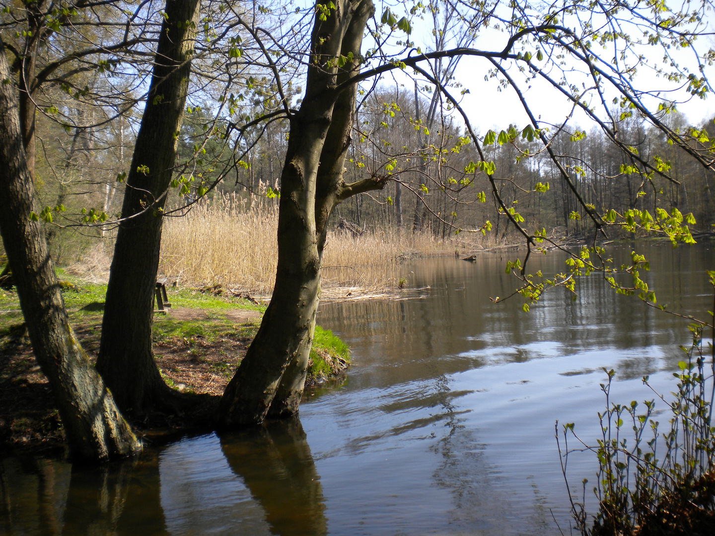 Pause am See