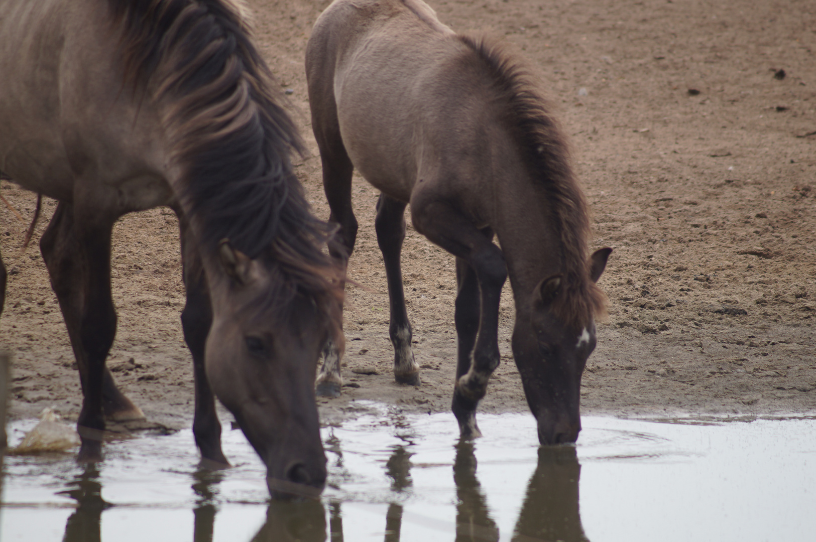 Pause an der Wasserstelle