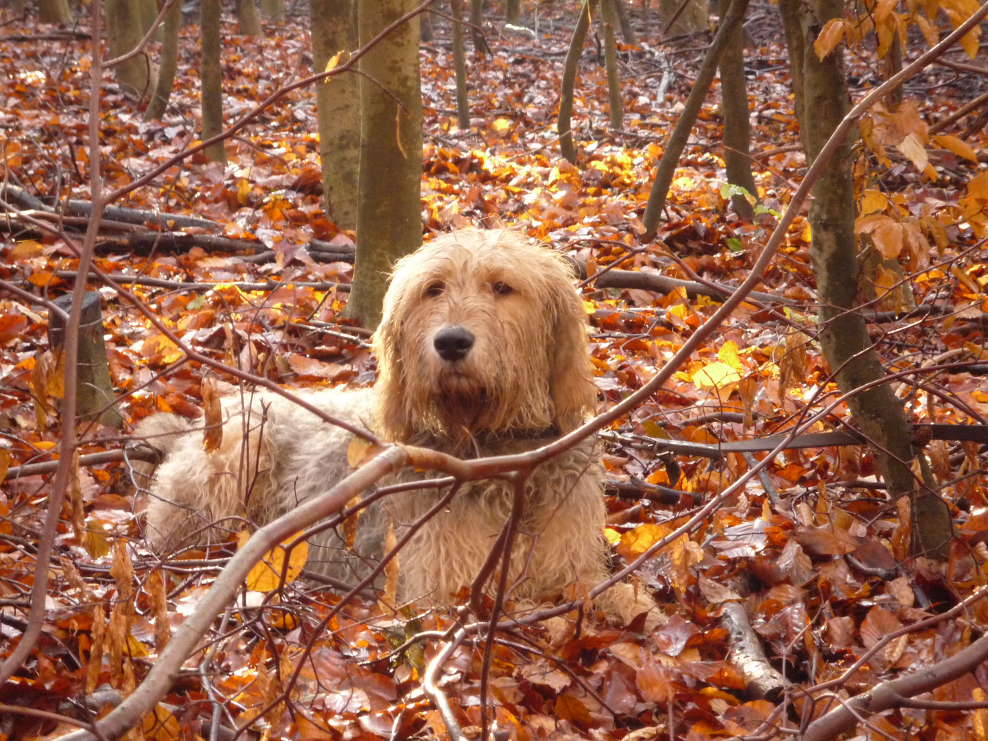 Pause an einem warmen Plätzchen im November