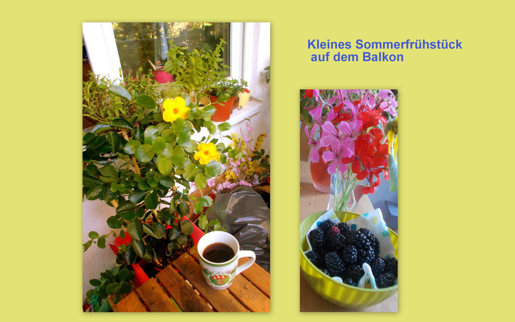 Pause auf dem Balkon Foto & Bild sommer, tee, kaffee Bilder auf