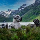 Pause auf dem Weg zur Wiesbadener Hütte