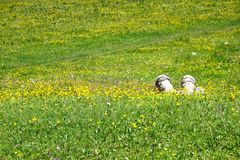 Pause auf der Alm