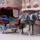 Pause ;-) (Beduine und Pferd in Petra, Jordanien)