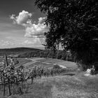 Pause bei Feldberg mit Blick auf die höchste Gutedelweinlage Badens mit den Namen »Paradies«