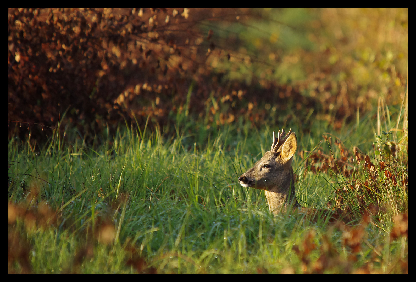 Pause d'automne.